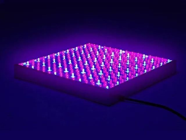 放弃Micro LED市场？不!中国屏企发展正当时