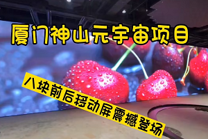 Mini Optoelectronics Xiamen Shenshan Universe Multiple Mobile LED Display Case