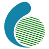 CHIPFOUNDATION