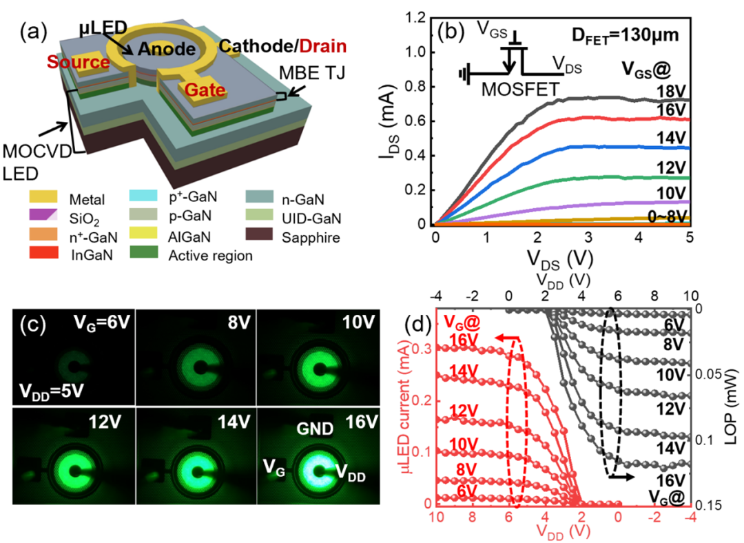 Nanjing University team achieves all-nitride monolithic integration of Micro LEDs driven by quasi-ve