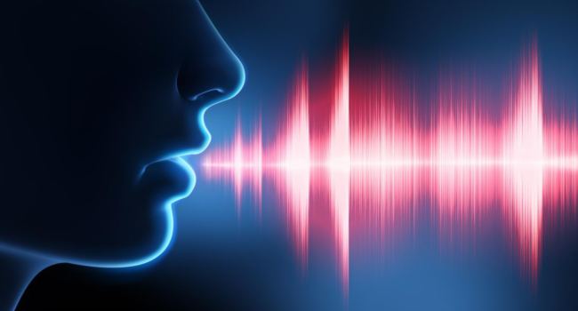 In-depth insight into language clarity (intelligibility)(1)
