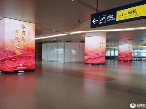 Pudong International Airport (Shanghai)