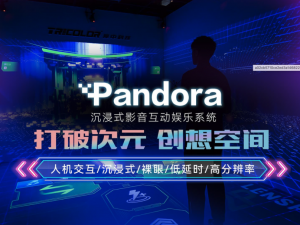 Chunzhong Technology's 