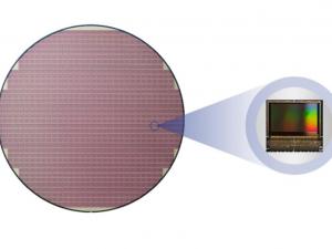Sapien Semiconductor: Business expansion and contract upgrades drive development