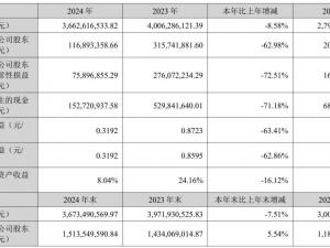 Abbison's 2024 annual results: strong overseas growth, adjusted domestic business structure