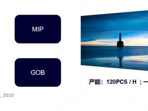 Technological challenges in the display industry: The road to correction and innovation for MIP and