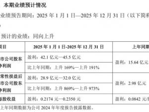 TCL Technology's 2025 performance is expected to increase by 169%-191%, and the semiconductor displa